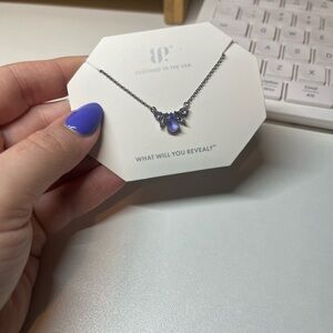 RBP6240 My Path Is Clear Necklace